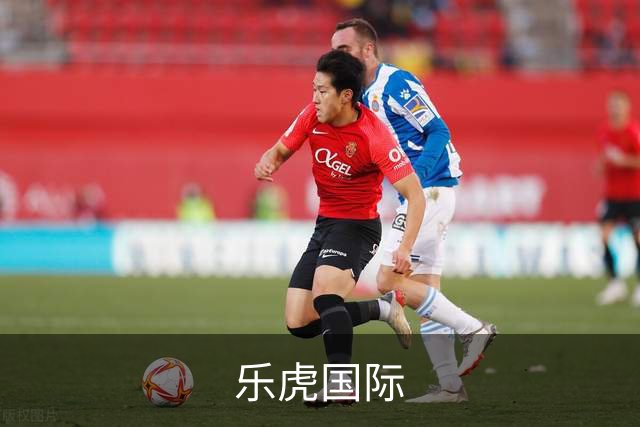 乐虎国际公司介绍